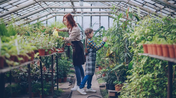 Joven Empresaria Propietaria Del Invernadero Está Regando Plantas Invernadero Mientras —  Fotos de Stock