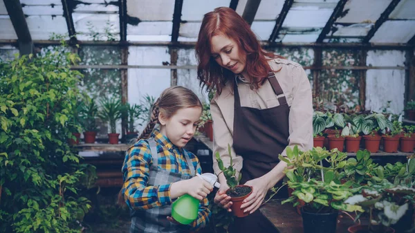 Adorable Little Girl Helping Her Pretty Mother Wash Green Plants — Stock Photo, Image