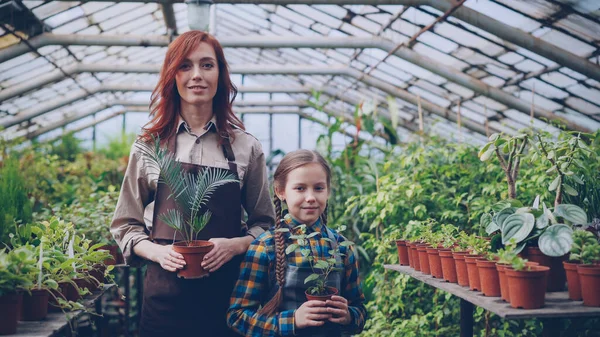 两个人的肖像有吸引力的母亲和可爱的女儿园丁在围裙站在温室里 并持有盆栽植物 Orcharding 人与家庭概念 — 图库照片
