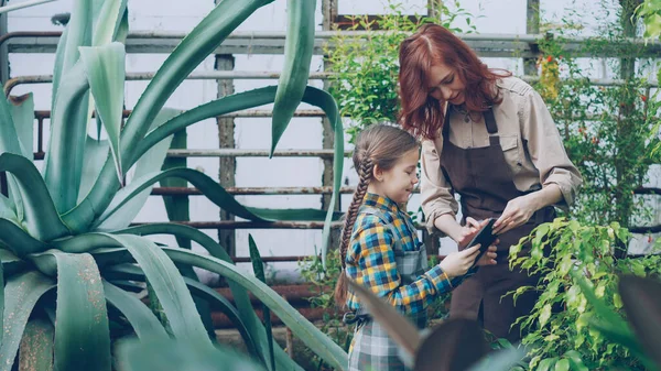 年轻的女农夫正在教她开朗的女儿与植物一起工作 他们正在触摸绿色植物 说话和笑 儿童和家庭概念 — 图库照片
