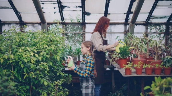 女园丁正在用水壶喷花 而她乐于助人的女儿用喷雾瓶喷洒植物 家庭成员一起在温室里工作 — 图库照片