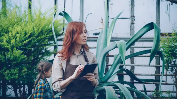Молода Жінка Фермерка Ходить Теплиці Перевіряючи Рослини Використовуючи Планшет Поки — стокове фото