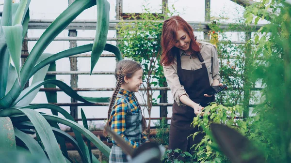 Female Worker Greenhouse Her Adorable Little Daughter Looking Plants Touching — Stock Photo, Image