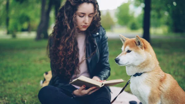 Красивая Молодая Леди Читает Книгу Парке Хлопает Милую Собаку Шиба — стоковое фото