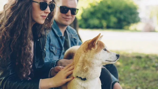 Mutlu Çift Kız Erkek Arkadaşı Parkta Şirin Köpek Yavrusu Okşamaya — Stok fotoğraf