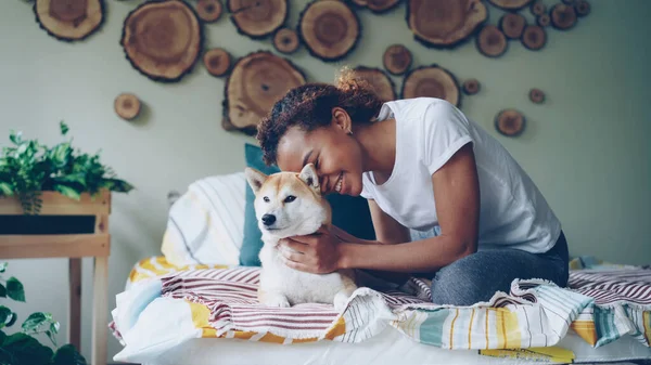 迷人的非洲裔美国女孩抚摸可爱的犬狗躺在床上 在漂亮的装饰卧室 年轻人和内部概念 — 图库照片