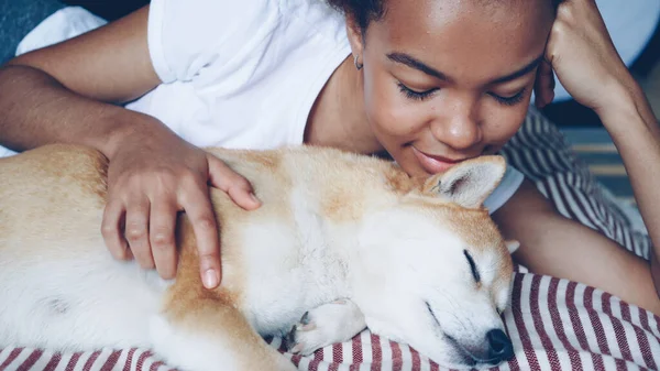 Närbild Kärleksfull Hundägare Smekande Härlig Pet Liggande Sängen Tillsammans Flickan — Stockfoto