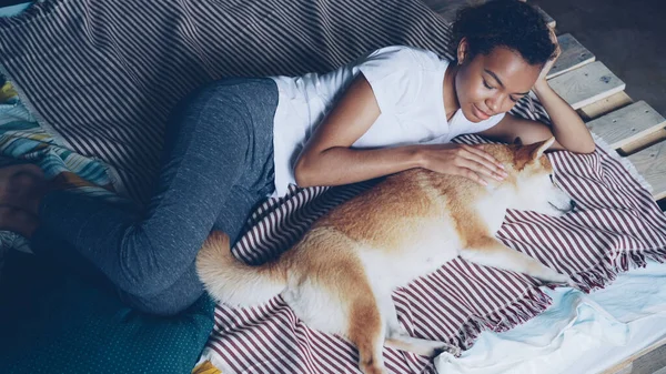 Słodka Afroamerykanka Głaska Czystego Psa Shiba Inu Leżącego Łóżku Podczas — Zdjęcie stockowe