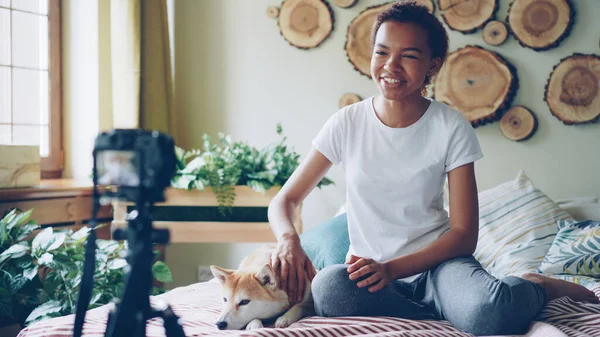 감정적인 성공적인 블로거는 아파트에는 침대에 앉아서 귀여운 강아지 침대에 다듬어 — 스톡 사진