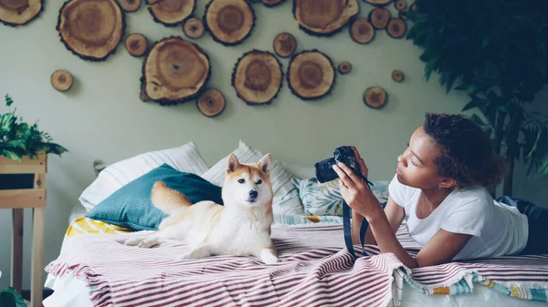 소유자는 그녀의 귀여운 강아지 카메라 집에서 침대에 누워을 사진을 찍고는 — 스톡 사진