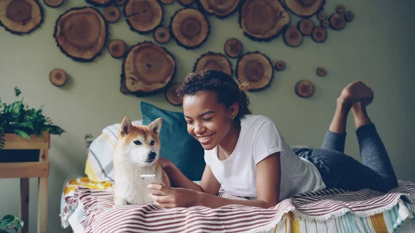 아프리카 미국인 소녀가 침대에 누워서 즐거움 과부드러움으로 귀여운 쓰다듬으며 스마트폰을 — 스톡 사진