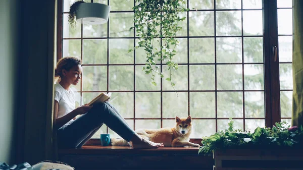 Çekici Genç Bayan Pencere Sevimli Küçük Köpek Yavrusu Ile Birlikte — Stok fotoğraf