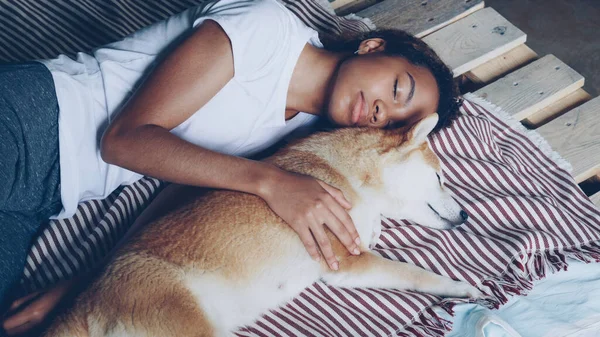 Vackra Afroamerikanska Tonåringen Och Bedårande Hund Sover Tillsammans Träsängar Flickan — Stockfoto