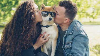 Evcil hayvan sahiplerini seven mutlu insanlar güneş gözlüklü köpekleri rahatsız edip güneşli bir günde parkta eğlenirken onu öperler..