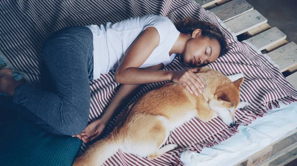 Magas Szög Kilátás Csinos Fiatal Pizsamában Imádnivaló Kiskutya Alszik Együtt — Stock Fotó