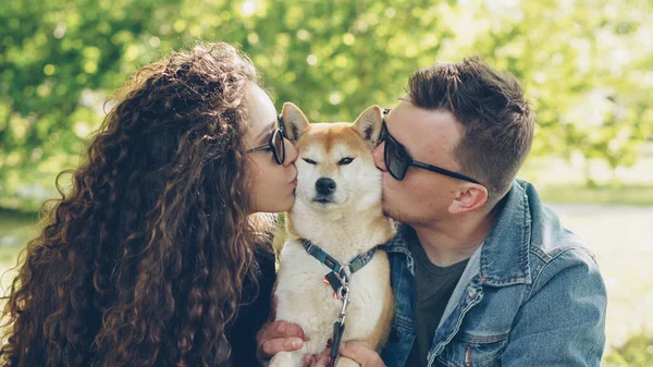 Les Propriétaires Aimants Beau Chien Shiba Inu Embrassent Animal Caressent — Photo