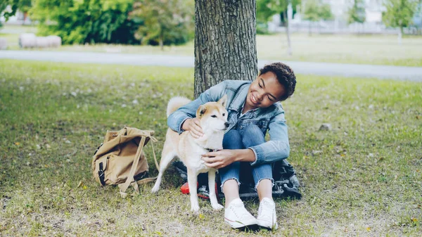 Feliz Dueño Del Perro Atractiva Chica Afroamericana Está Acariciando Lindo — Foto de Stock