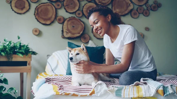 Menina Adolescente Afro Americana Feliz Está Acariciando Adorável Cão Estimação — Fotografia de Stock