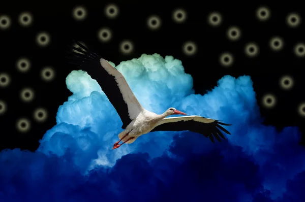 コウノトリ黒魔法青の雲と空を飛んでいます。 — ストック写真