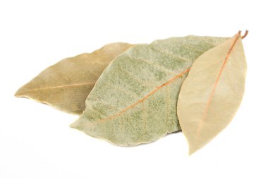 kurutulmuş defne yaprağı