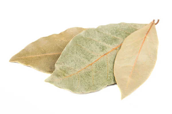 Dried Bay Leaves — Stock Photo, Image