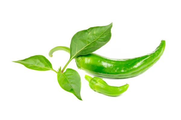 Hot Chili Peppers with Green Leaves — Stock Photo, Image