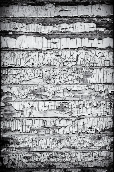 Pared de madera gruesa en blanco y negro — Foto de Stock