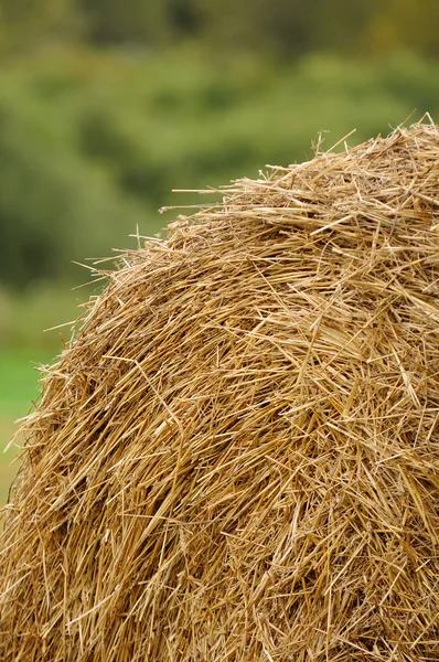 Stack of Straw in the Field — Stock Photo, Image