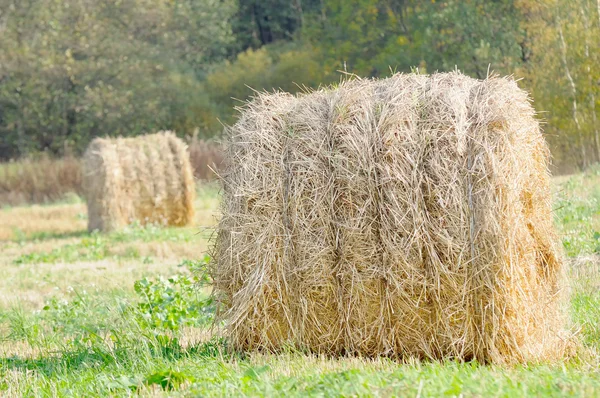 Straw Bales in the Field — Stock Photo, Image