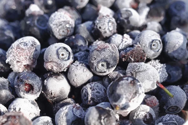 Frozen Bilberries Close-Up - HDR Image — Stock Photo, Image