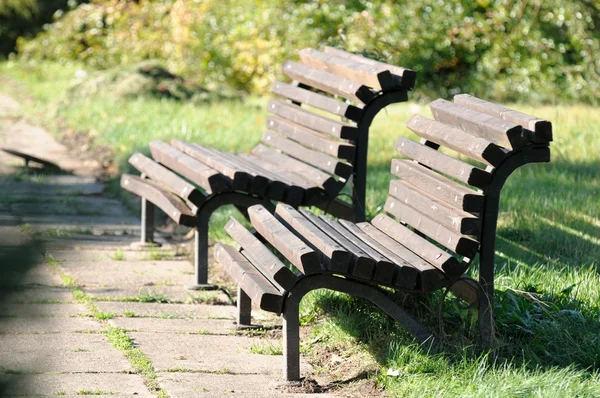 Träbänkar i park — Stockfoto