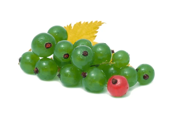 Gröna och röda vinbär isolerad på vit bakgrund — Stockfoto