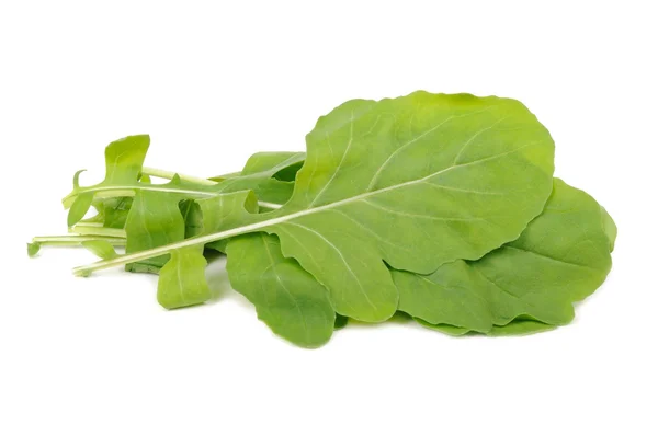 Feuilles de salade de fusée verte isolées sur fond blanc — Photo