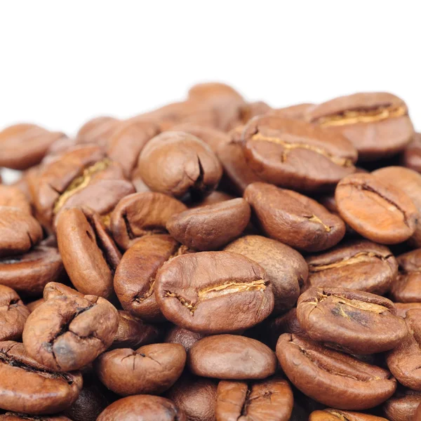 Coffee Beans on White Background with Copy Space — Stock Photo, Image