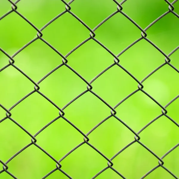 Drátěné pletivo plotu close-up na zeleném pozadí — Stock fotografie