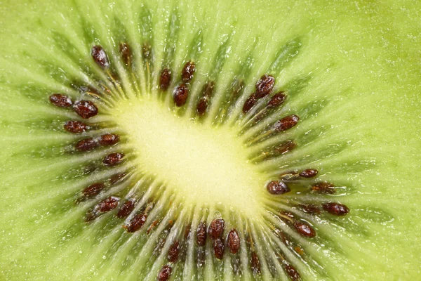 Kiwi slice makro — Stockfoto