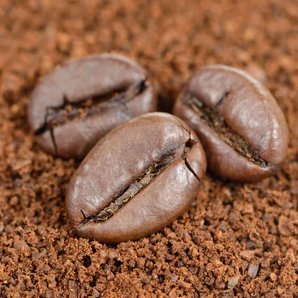 Chicchi di caffè su caffè macinato Close-Up — Foto Stock