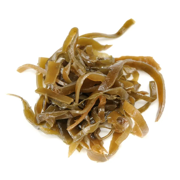 Laminaria (Kelp) tång isolerad på vit bakgrund — Stockfoto