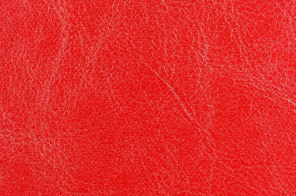 Rött blankt läder texture — Stockfoto