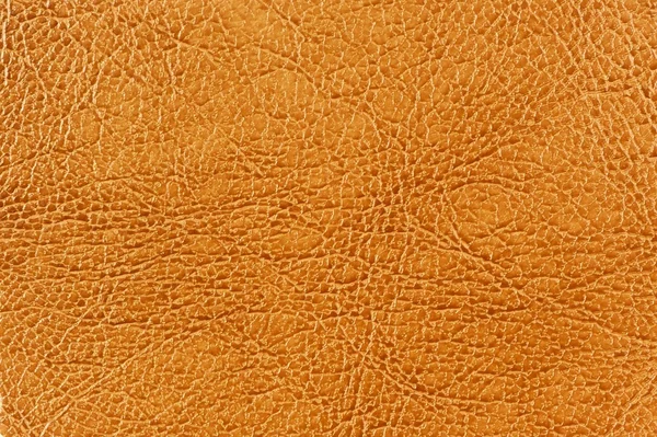 Dark Beige Patterned Leather Texture — Stock Photo, Image