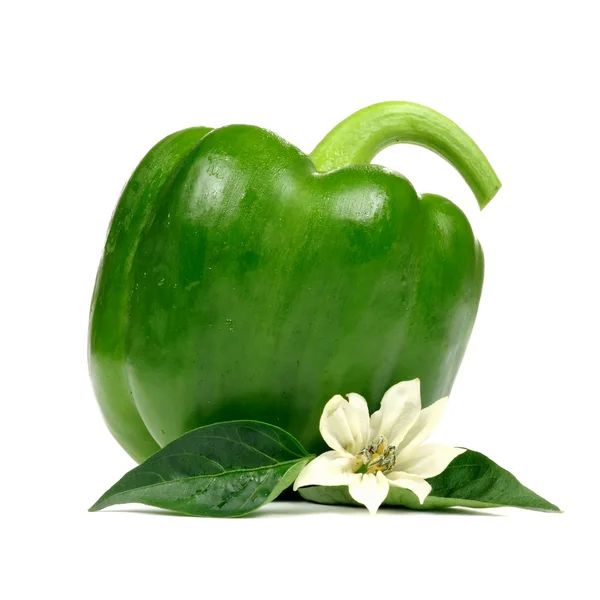 Bell Pepper with Leaves and Flower Isolated on White Background — Stock Photo, Image