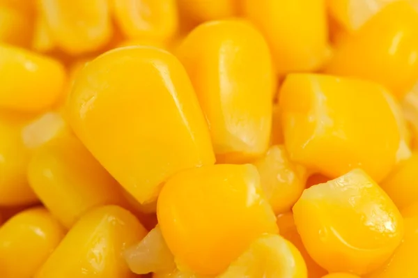 Κονσέρβα γλυκό καλαμπόκι πυρήνες close-up — Φωτογραφία Αρχείου