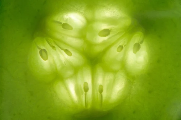 Cucumber Slice Macro — Stock Photo, Image