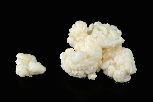 Fungo de cura tibetano (Cogumelo de leite tibetano ) — Fotografia de Stock