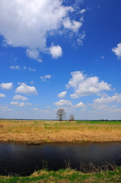 Rio calmo e céu azul bonito — Fotografia de Stock