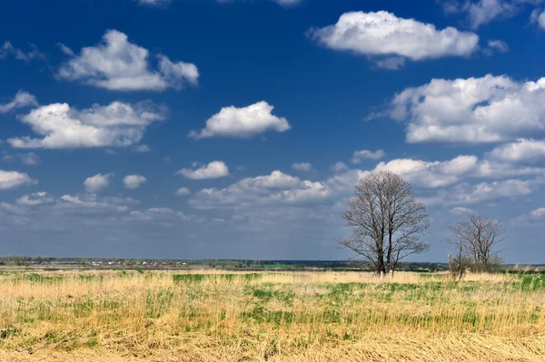 Paisagem rural — Fotografia de Stock