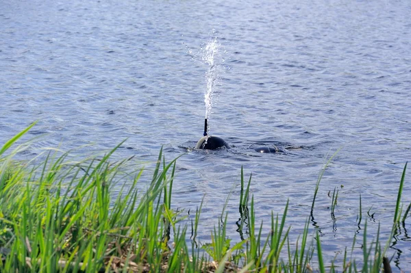 Scuba diver släppa fontän av vatten — Stockfoto