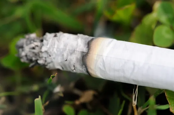 Sigaretta fumante su erba — Foto Stock