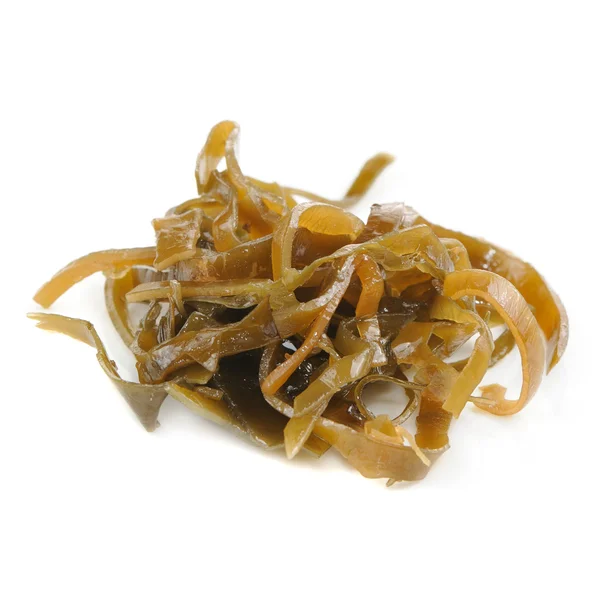 Alghe marine Kelp (Laminaria) isolate su sfondo bianco — Foto Stock