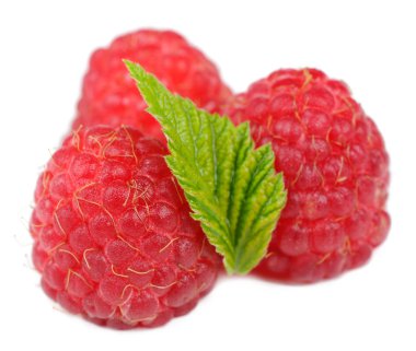 yeşil yaprak beyaz zemin üzerine izole Kırmızı Ahududu